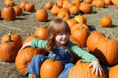 Aura at the pumpkin patch
